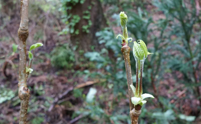 DSC09058.jpg
