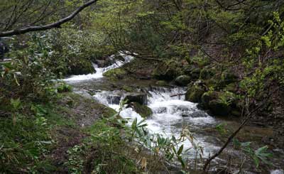 DSC09043.jpg