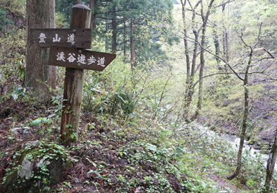 DSC09037.jpg
