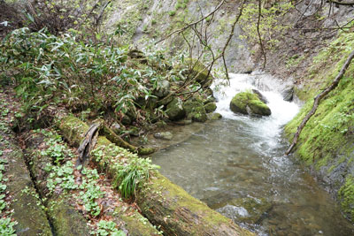 DSC09033.jpg