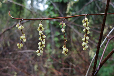 DSC09023.jpg