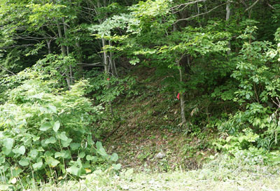 ORG_DSC09795.jpg
