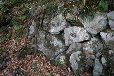 ORG_DSC09793.jpg