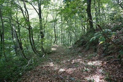 ORG_DSC09792.jpg