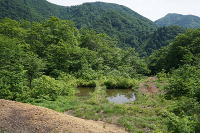 ORG_DSC09790.jpg