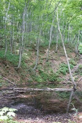 ORG_DSC09788.jpg