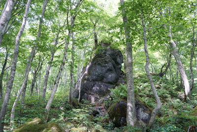 ORG_DSC09783.jpg