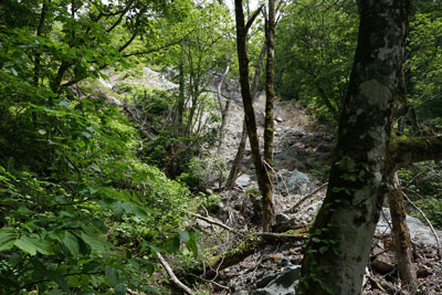 ORG_DSC09776.jpg
