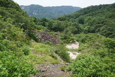 ORG_DSC09769.jpg