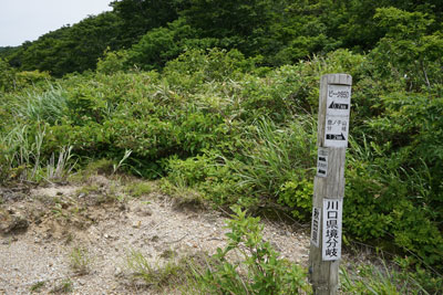 ORG_DSC09761.jpg