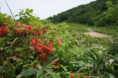 ORG_DSC09757.jpg