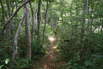 ORG_DSC09752.jpg