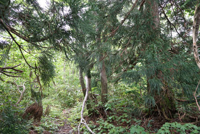 ORG_DSC09748.jpg