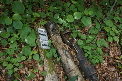 ORG_DSC09744.jpg
