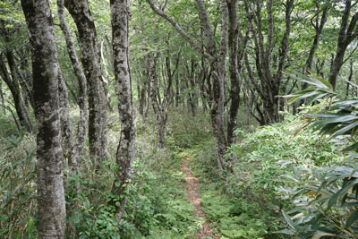 ORG_DSC09737.jpg
