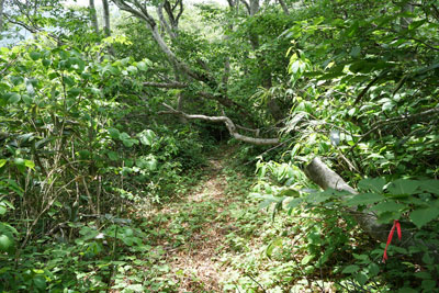 ORG_DSC09732.jpg
