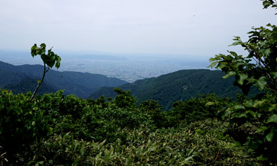 ORG_DSC09728.jpg
