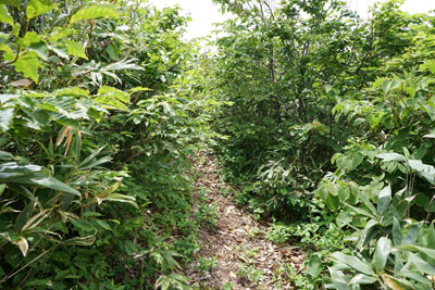 ORG_DSC09719.jpg