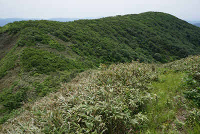 ORG_DSC09709.jpg
