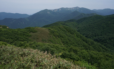 ORG_DSC09705.jpg