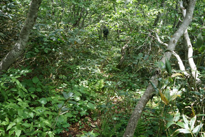 ORG_DSC09696.jpg