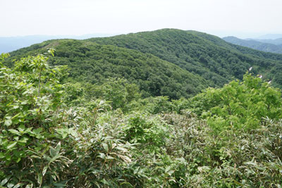 ORG_DSC09692.jpg