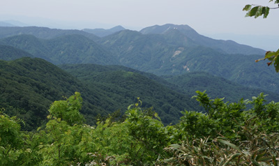 ORG_DSC09691.jpg