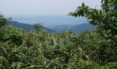 ORG_DSC09690.jpg