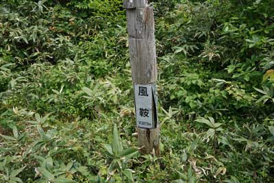 ORG_DSC09685.jpg