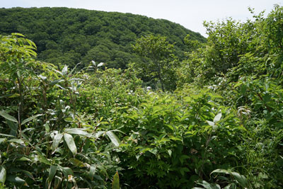 ORG_DSC09673.jpg