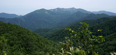 ORG_DSC09670.jpg
