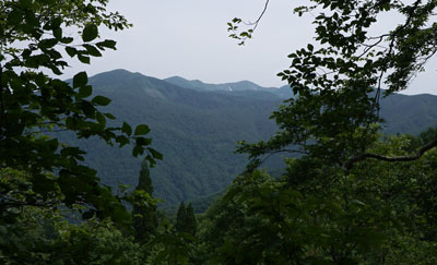 ORG_DSC09651.jpg
