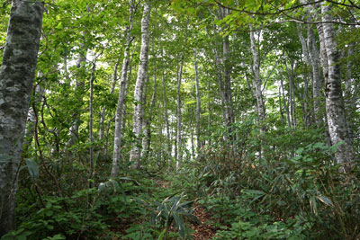 ORG_DSC09650.jpg
