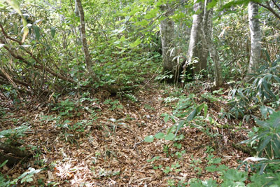 ORG_DSC09645.jpg