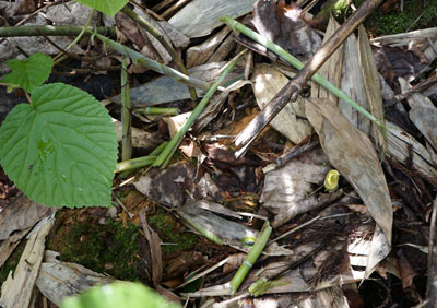 ORG_DSC09639.jpg