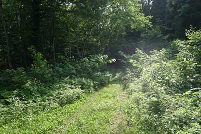 ORG_DSC09630.jpg