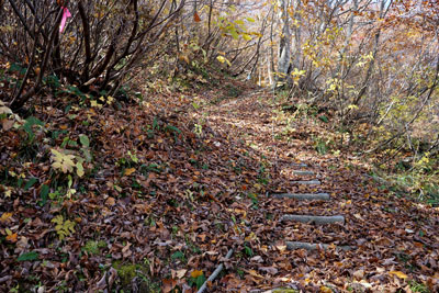 DSC02554.jpg