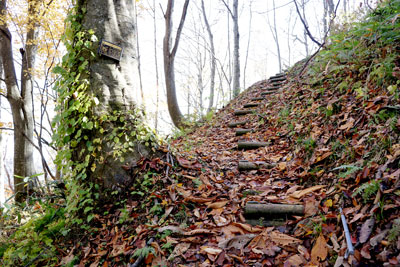 DSC02528.jpg