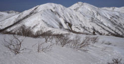 東北の貴婦人、羽後朝日岳へ