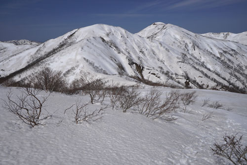 東北の貴婦人、羽後朝日岳へ