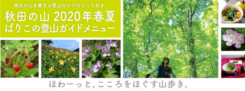 ほわーっとこころをほぐす山歩き
