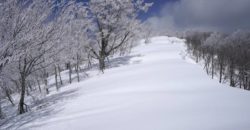 2018年3月17日　姥井戸山の霧氷が美しすぎて！