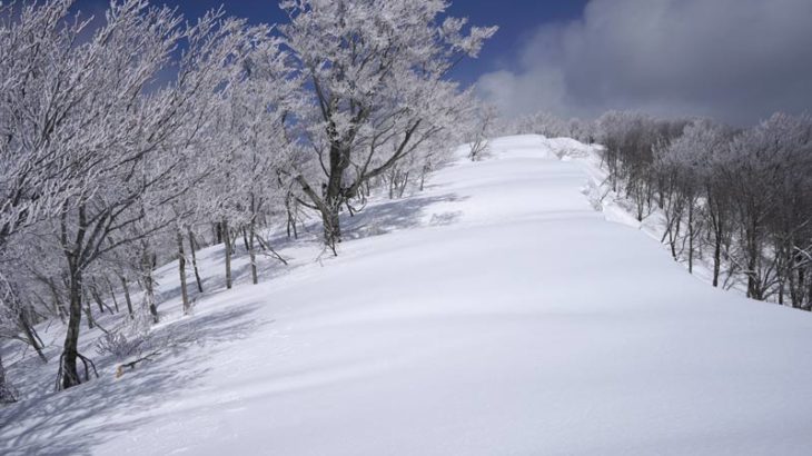 2018年3月17日　姥井戸山の霧氷が美しすぎて！