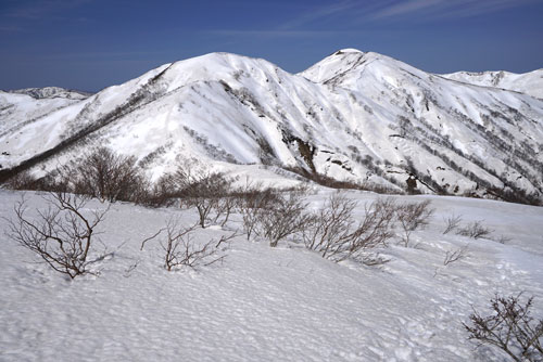 残雪期に目指す山：羽後朝日岳