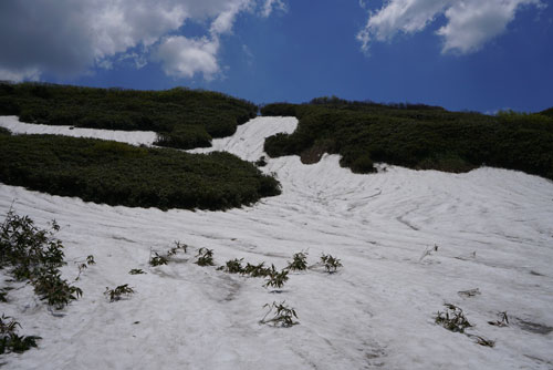 2020年5月31日の神室山登山道の状況さくっと。