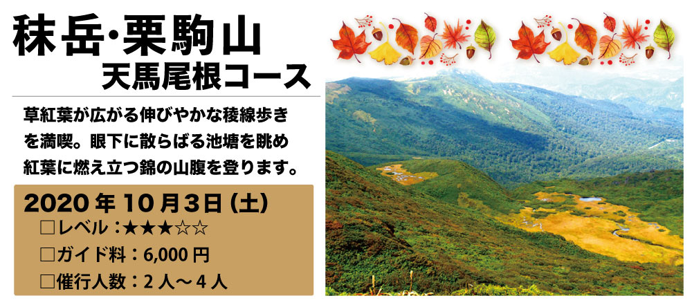 天馬尾根から栗駒山