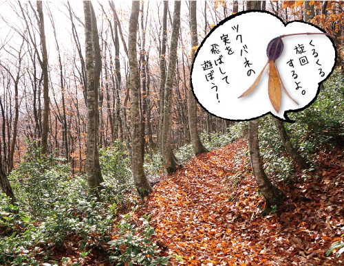 金峰山イメージ