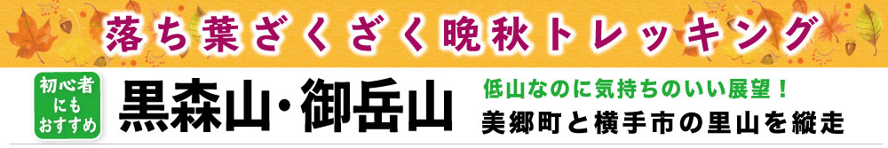 黒森山