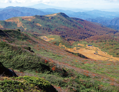 天馬尾根