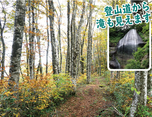 女神山イメージ